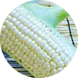 ホワイトショコラ