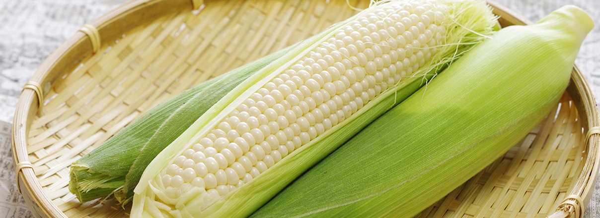 もたらす影響と活用法 | 産地直送で美味しい野菜を全国へ